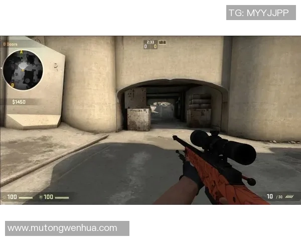 LNG战队的崛起之路：从默默无闻到CSGO赛场的璀璨明星