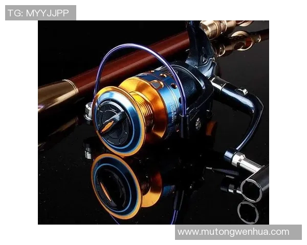 创新渔具设计探索:提升钓鱼体验的技术与功能发展趋势分析