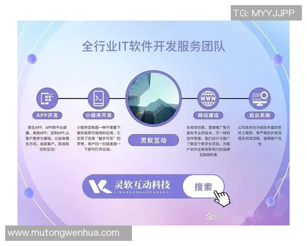 打造专业高效的企业网站建设方案，提升品牌形象与用户体验的全流程解析