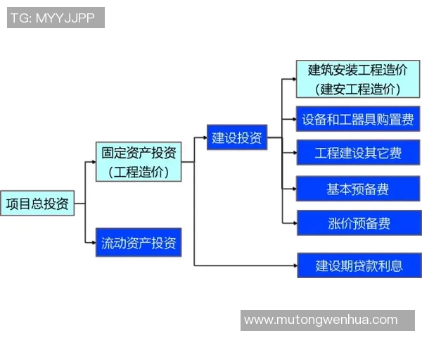 LNG战队的整体压制体系解析与战术运用探讨