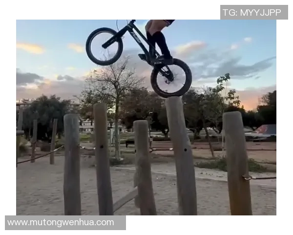 极限运动的魅力与挑战：探秘杭州极限运动队的全方位压制策略