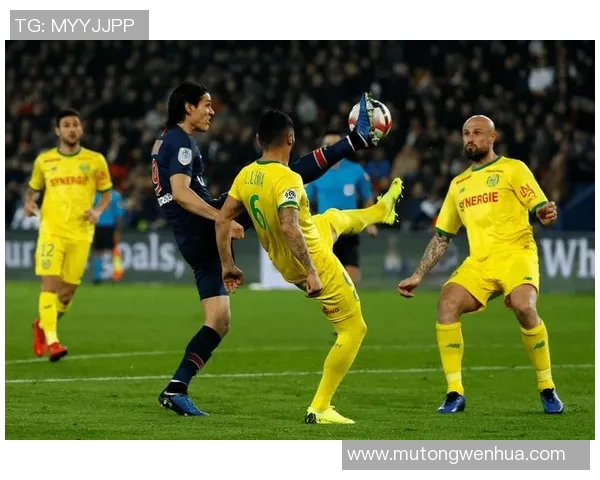 法甲最强中卫实力与表现点评