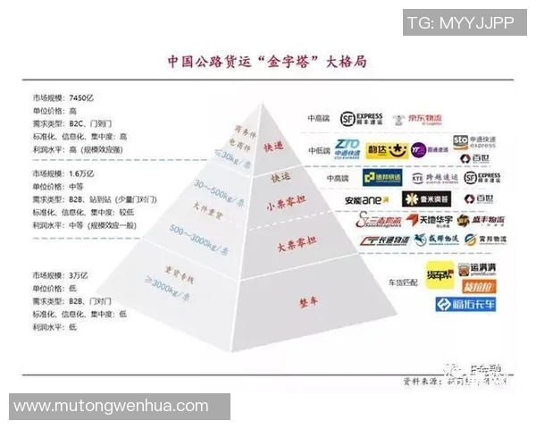 深入探讨北京足球队各大球队实力对比及未来发展趋势分析