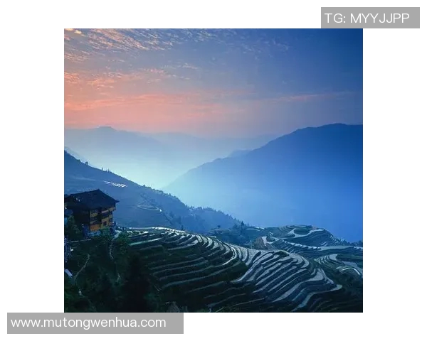 滑板战术实力榜单权威发布揭示顶尖选手实力与战术风格