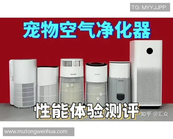 空气净化器如何改善室内空气质量及其对健康的积极影响分析