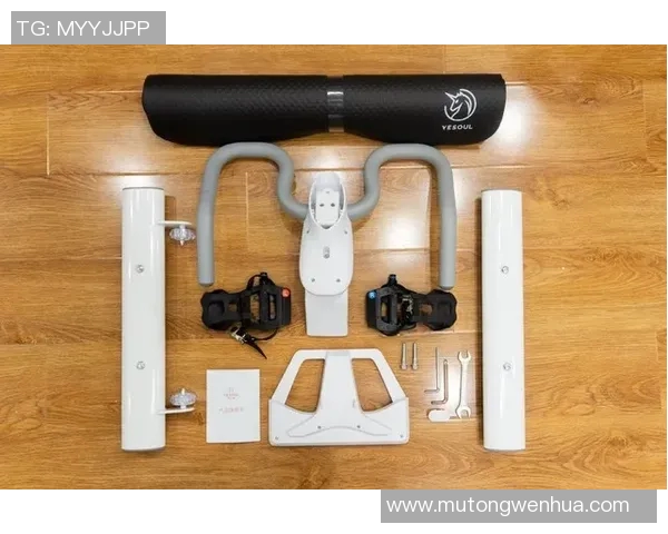 广州极限运动队速度对比深度解析与各队表现评估