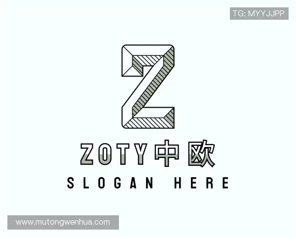 介绍zoty中欧体育